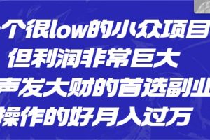 一個很low的小眾項目，但利潤非常巨大，悶聲發大財的首選副業，月入過萬