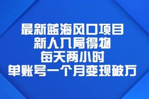 最新藍海風口項目，新人入局得物，每天兩小時，單賬號一個月變現破萬