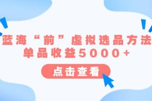 某公眾號付費文章《藍海“前”虛擬選品方法：單品收益5000 》