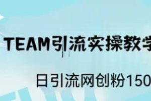 ST TEAM引流實操課，日引流網創粉100