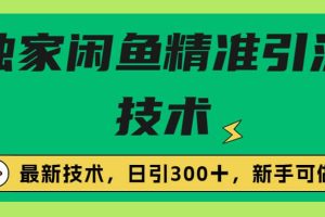獨(dú)家閑魚(yú)引流技術(shù)，日引300＋實(shí)戰(zhàn)玩法