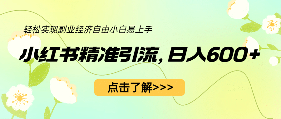 小紅書精準(zhǔn)引流，小白日入600 ，輕松實現(xiàn)副業(yè)經(jīng)濟自由（教程 1153G資源）插圖