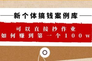 新個體 搞錢案例 庫，可以直接抄作業 如何賺到第一個100w（29節視頻 文檔）