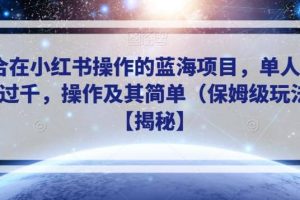 適合在小紅書操作的藍海項目，單人日收入過千，操作及其簡單（保姆級玩法）【揭秘】