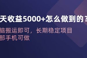 一天收益5000 怎么做到的？無腦搬運即可，長期穩(wěn)定項目，一部手機可做