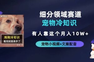 不起眼的抖音細分賽道-寵物冷知識，一段寵物視頻配文案，有人靠這個月入10w