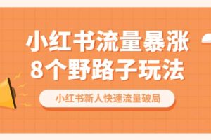 小紅書流量-暴漲8個(gè)野路子玩法：小紅書新人快速流量破局（8節(jié)課）