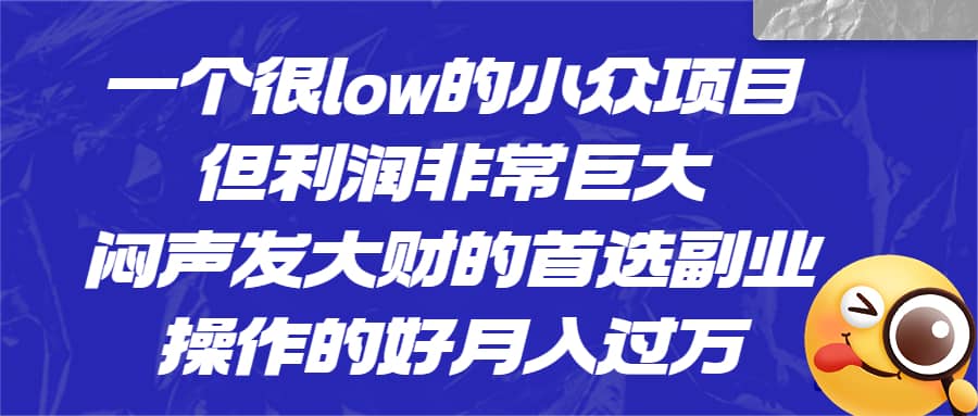 一個很low的小眾項目，但利潤非常巨大，悶聲發大財的首選副業，月入過萬插圖