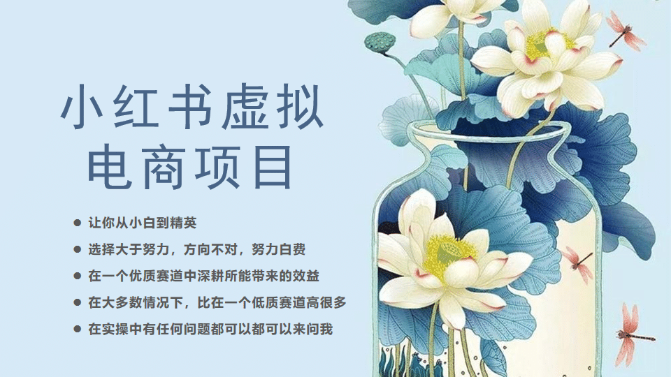 小紅書虛擬電商從0到1，讓你從小白到精英（20節(jié)實(shí)操課程）插圖