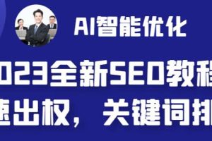 2023最新網(wǎng)站AI智能優(yōu)化SEO教程，簡單快速出權(quán)重，AI自動(dòng)寫文章 AI繪畫配圖