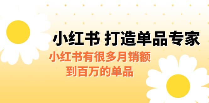 某公眾號付費文章《小紅書 打造單品專家》小紅書有很多月銷額到百萬的單品插圖