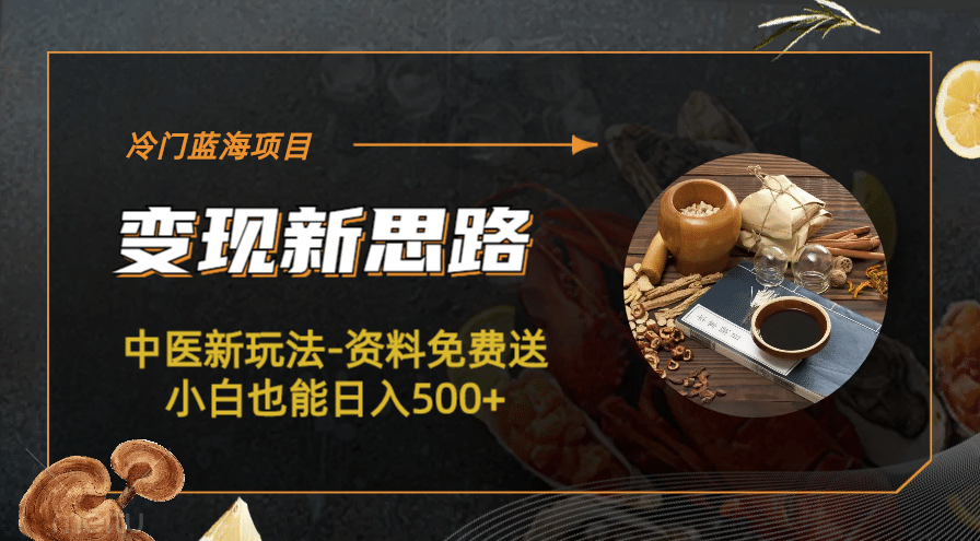 冷門藍海項目-中醫新玩法-冷門藍海項目-中醫新玩法-資料免費送小白也能日入500 500插圖