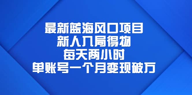 最新藍海風口項目，新人入局得物，每天兩小時，單賬號一個月變現破萬插圖