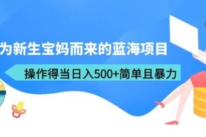 專為新生寶媽而來的藍海項目，操作得當日入500 簡單且暴力（教程 工具）