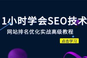 1小時學(xué)會SEO技術(shù) 網(wǎng)站排名優(yōu)化實戰(zhàn)高級教程-秒殺市面95%收費幾千的SEO教程