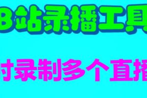 B站錄播工具，支持同時錄制多個直播間【錄制腳本 使用教程】