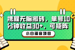 小白新手福音：攜程無腦搬磚項目，單號操作10分鐘收益30 ，可矩陣可放大