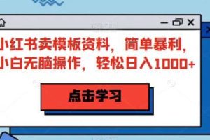 小紅書(shū)賣模板資料，簡(jiǎn)單暴利，小白無(wú)腦操作，輕松日入1000 【揭秘】