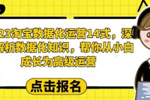2023淘寶數據化-運營 14式，深度解析數據化知識，幫你從小白成長為高級運營