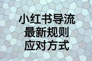 小紅書導(dǎo)流最新規(guī)則應(yīng)對方式【揭秘】