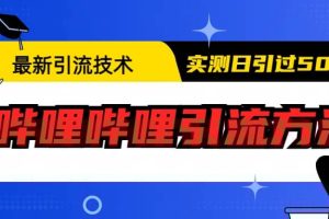 最新引流技術(shù)：嗶哩嗶哩引流方法，實測日引50
