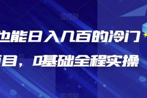 新手也能日入幾百的冷門DIY項目，0基礎全程實操【揭秘】