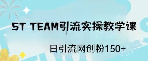 ST TEAM引流實操課，日引流網創粉100插圖