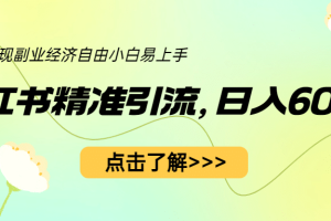 小紅書精準(zhǔn)引流，小白日入600 ，輕松實現(xiàn)副業(yè)經(jīng)濟自由（教程 1153G資源）