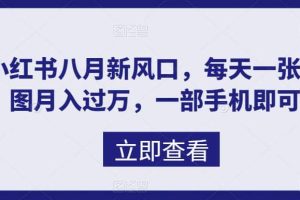 八月新風口，小紅書虛擬項目一天收入1000 ，實戰(zhàn)揭秘