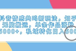 抖音情感共鳴新玩法，知乎無腦搬運(yùn)，單條作品漲粉5000 ，私域轉(zhuǎn)化日入500