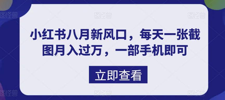 八月新風口，小紅書虛擬項目一天收入1000 ，實戰(zhàn)揭秘插圖