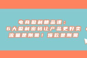 電商 盈利精品課：6大盈利 密碼讓產(chǎn)品更好賣，流量是剛需！爆款是剛需