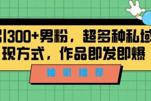 獨(dú)家推薦！日引300 男粉，超多種私域變現(xiàn)方式，作品即發(fā)即報(bào)