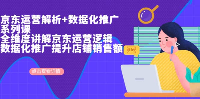 京東運營解析與數據化推廣系列課，全維度講解京東運營邏輯 數據化推廣提升店鋪銷售額插圖