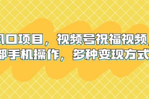 新風(fēng)口項(xiàng)目，視頻號(hào)祝福視頻，一部手機(jī)操作，多種變現(xiàn)方式