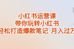 小紅書運營課，帶你玩轉小紅書，輕松打造爆款筆記 月入過萬