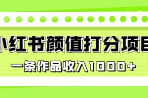 適合0基礎小白的小紅書顏值打分項目，一條作品收入1000
