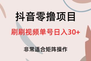 抖音零擼項目，刷刷視頻單號日入30