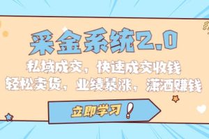 采金 系統2.0，私域成交，快速成交收錢，輕松賣貨，業績暴漲，瀟灑賺錢