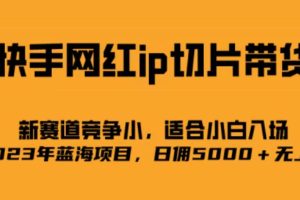 快手網(wǎng)紅ip切片新賽道，競爭小事，適合小白 2023藍(lán)海項(xiàng)目
