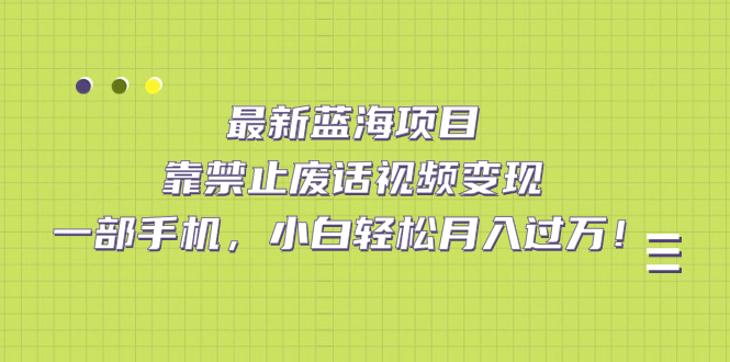 最新藍(lán)海項(xiàng)目，靠禁止廢話視頻變現(xiàn)，一部手機(jī)，小白輕松月入過萬！插圖