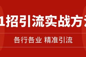 精準(zhǔn)引流術(shù)：11招引流實戰(zhàn)方法，讓你私域流量加到爆（11節(jié)課完整版）