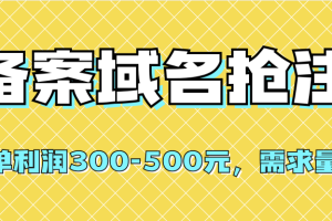 【全網首發】備案域名搶注，一單利潤300-500元，需求量大