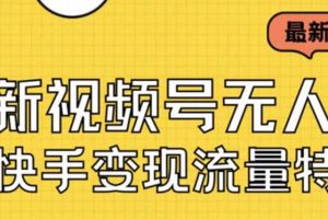 最新視頻號(hào)無(wú)人直播轉(zhuǎn)快手變現(xiàn)美女玩法日入500 【教程 素材】