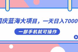 國慶藍海大項目，一天日入7000 ，一部手機就可操作