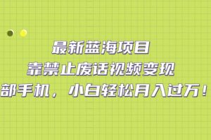 最新藍(lán)海項(xiàng)目，靠禁止廢話視頻變現(xiàn)，一部手機(jī)，小白輕松月入過萬！