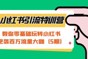 小紅書引流特訓營-第5期：教你零基礎玩轉小紅書，逆襲百萬流量大咖