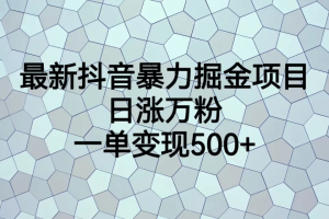 最火熱的抖音暴力掘金項(xiàng)目，日漲萬(wàn)粉，多種變現(xiàn)方式，一單變現(xiàn)可達(dá)500