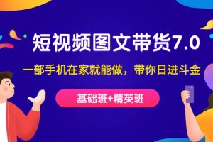 短視頻-圖文帶貨7.0（基礎(chǔ)班 精英班）一部手機在家就能做，帶你日進斗金
