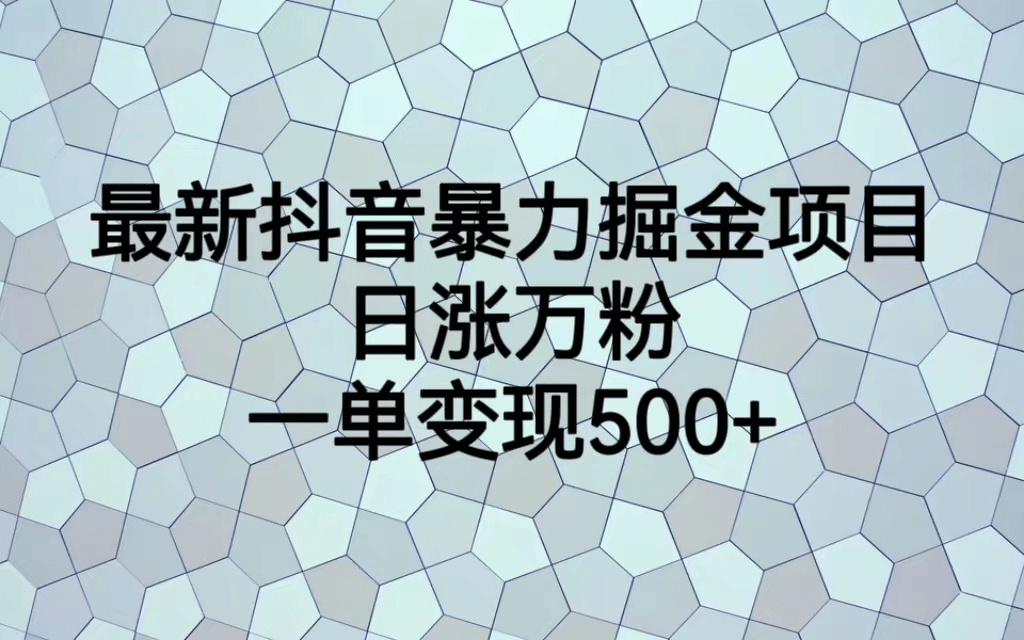 最火熱的抖音暴力掘金項(xiàng)目，日漲萬(wàn)粉，多種變現(xiàn)方式，一單變現(xiàn)可達(dá)500插圖